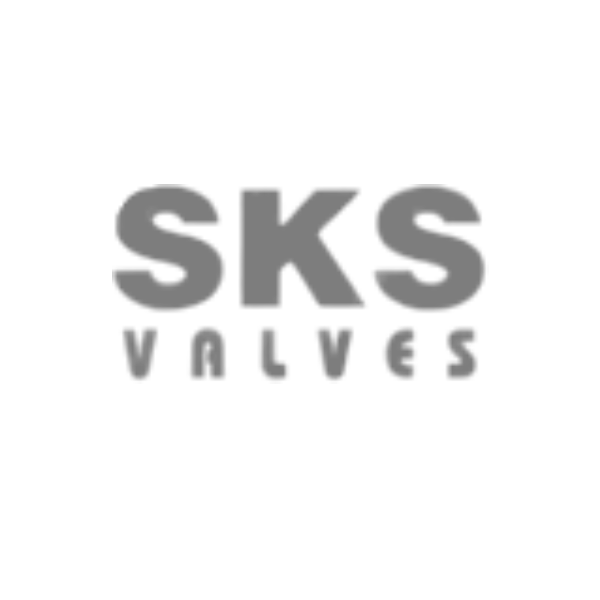 SKSBTDV - Forged Brass Test & Drain Valve