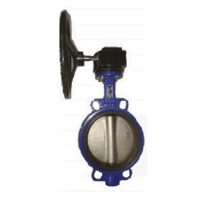 SKS116S4G CI Butterfly Valve SS 304 Disc (PN 16) Gear Operated