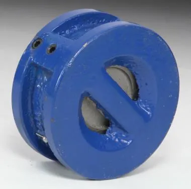 SKS330S6D DI Dual Plate Wafer Check Valve (NRV) SS 316 Disc (PN 30)