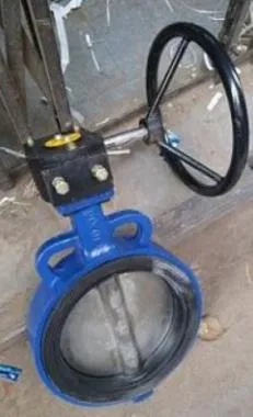 SKS116EG CI Wafer Type Butterfly Valve (PN 16) Gear Operated