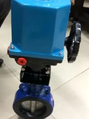 SKS116EEA CI Wafer Type Butterfly Valve with Electric Actuator PN: 16