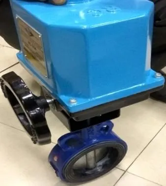 SKS116EEA CI Wafer Type Butterfly Valve with Electric Actuator PN: 16