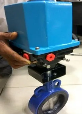 SKS116EEA CI Wafer Type Butterfly Valve with Electric Actuator PN: 16